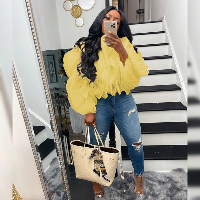 Layered Fluffy Petal Chiffon Long Sleeve Top